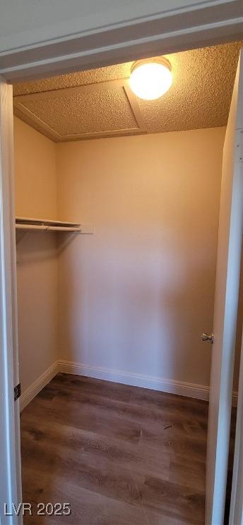 Photo #18