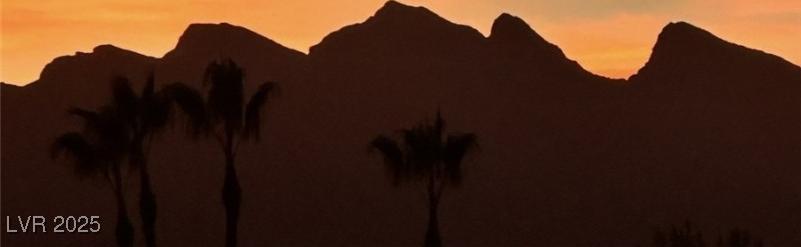 Photo #57