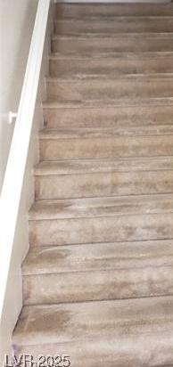Photo #14