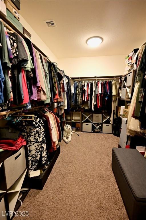 Photo #17