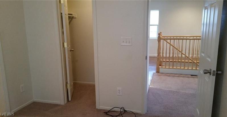 Photo #20