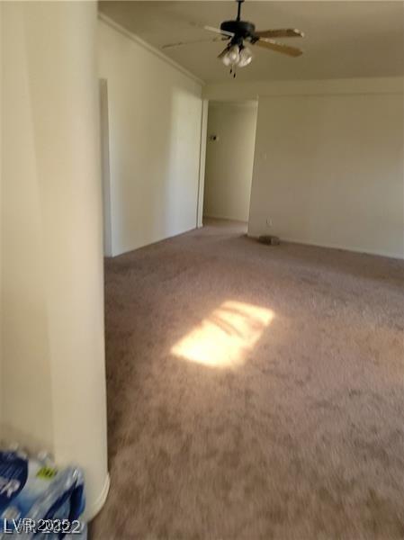 Photo #43