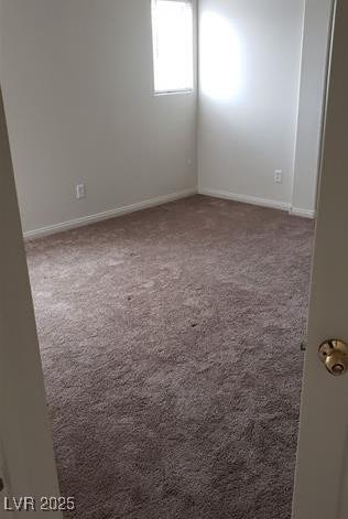 Photo #31