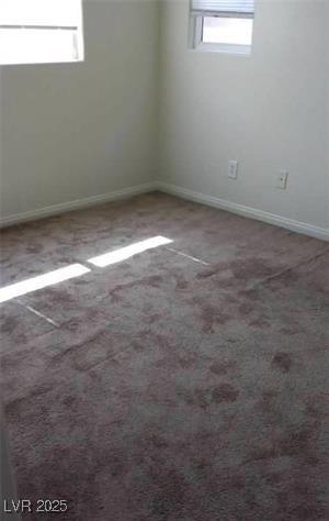 Photo #41