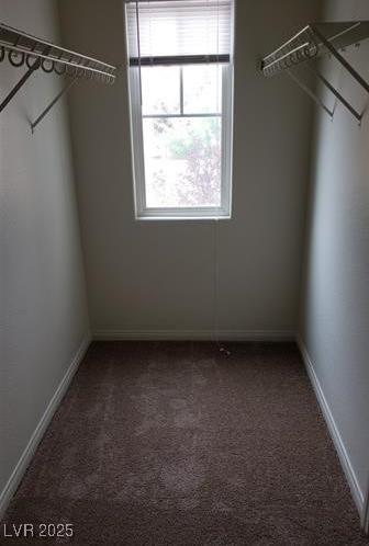 Photo #30