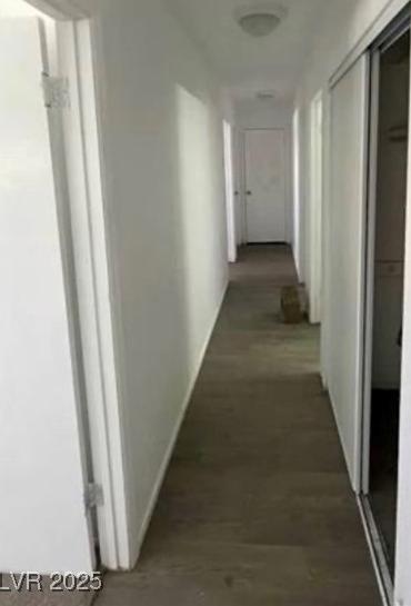 Photo #14