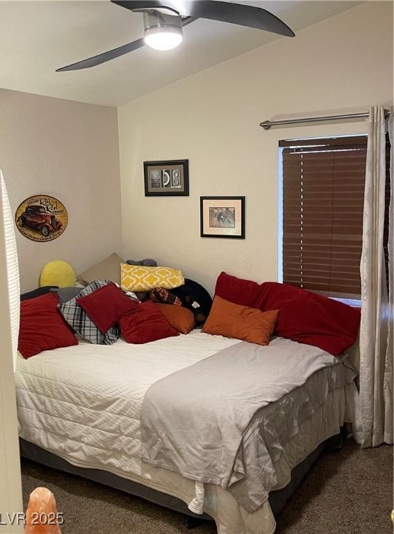 Photo #29
