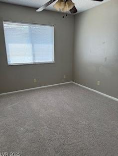 Photo #17