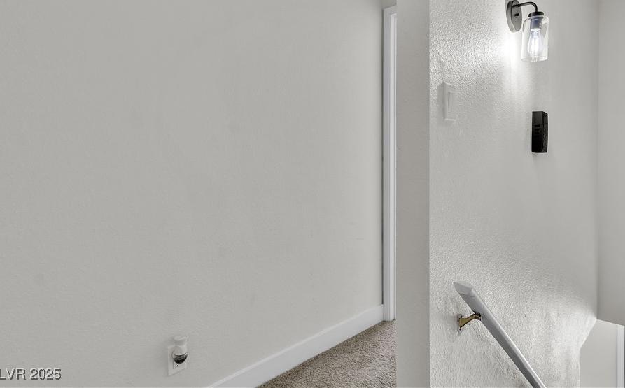 Photo #21