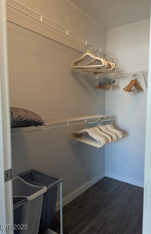 Photo #32