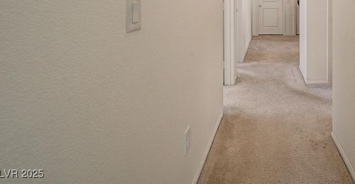 Photo #17