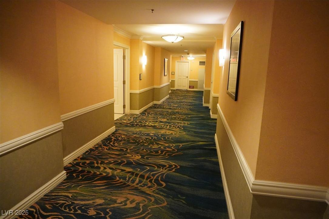 Photo #24