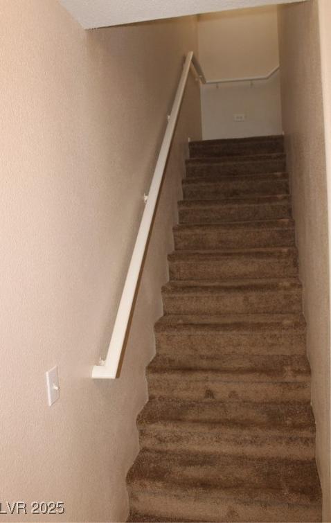 Photo #11