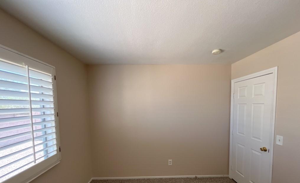 Photo #41
