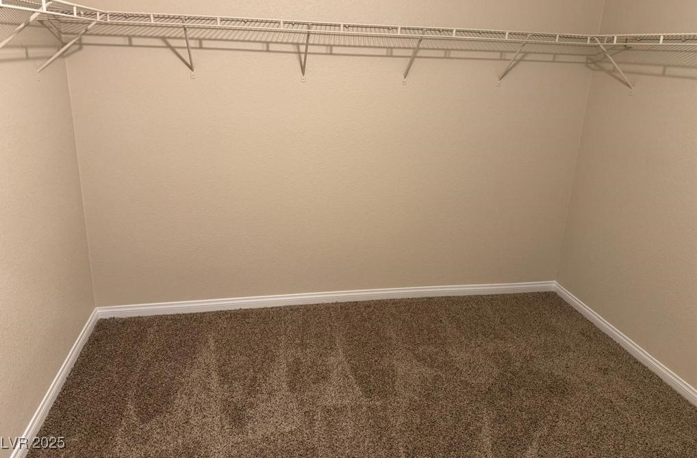 Photo #20