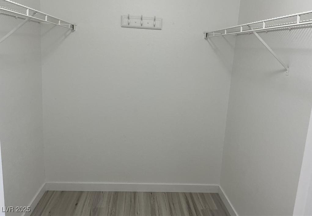 Photo #8