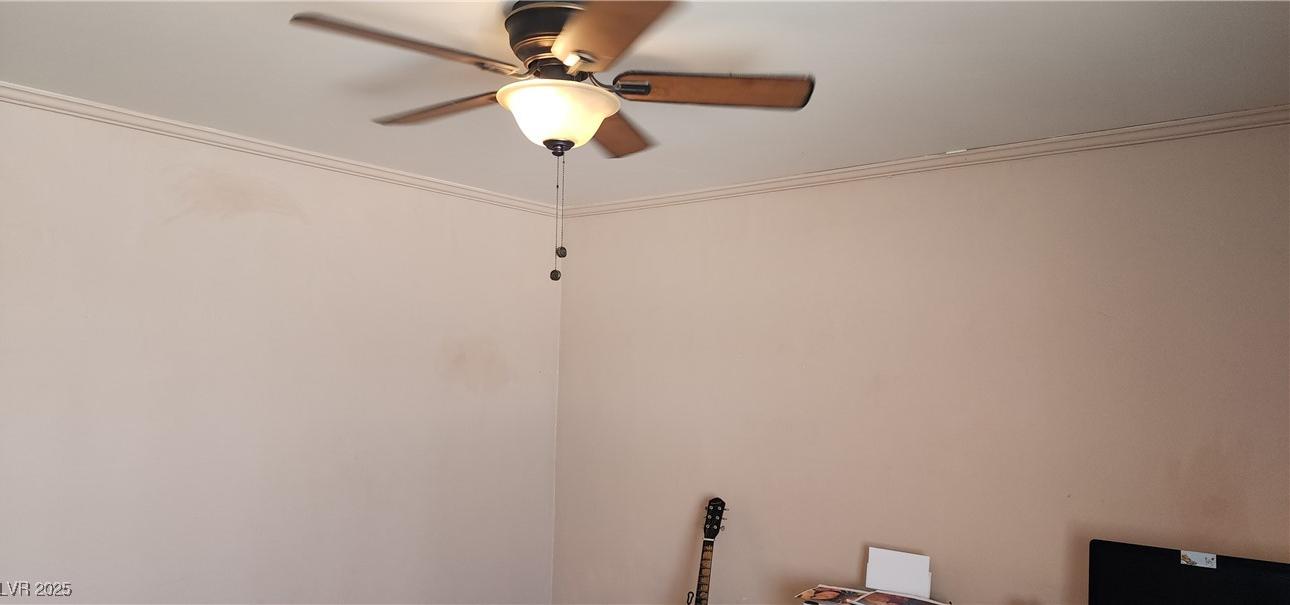 Photo #24
