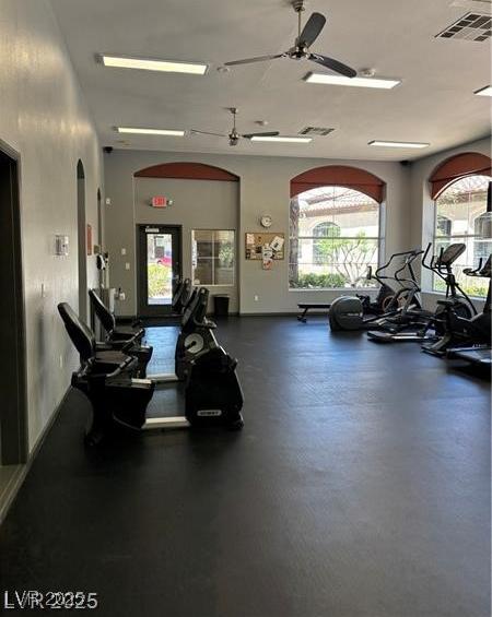 Photo #11