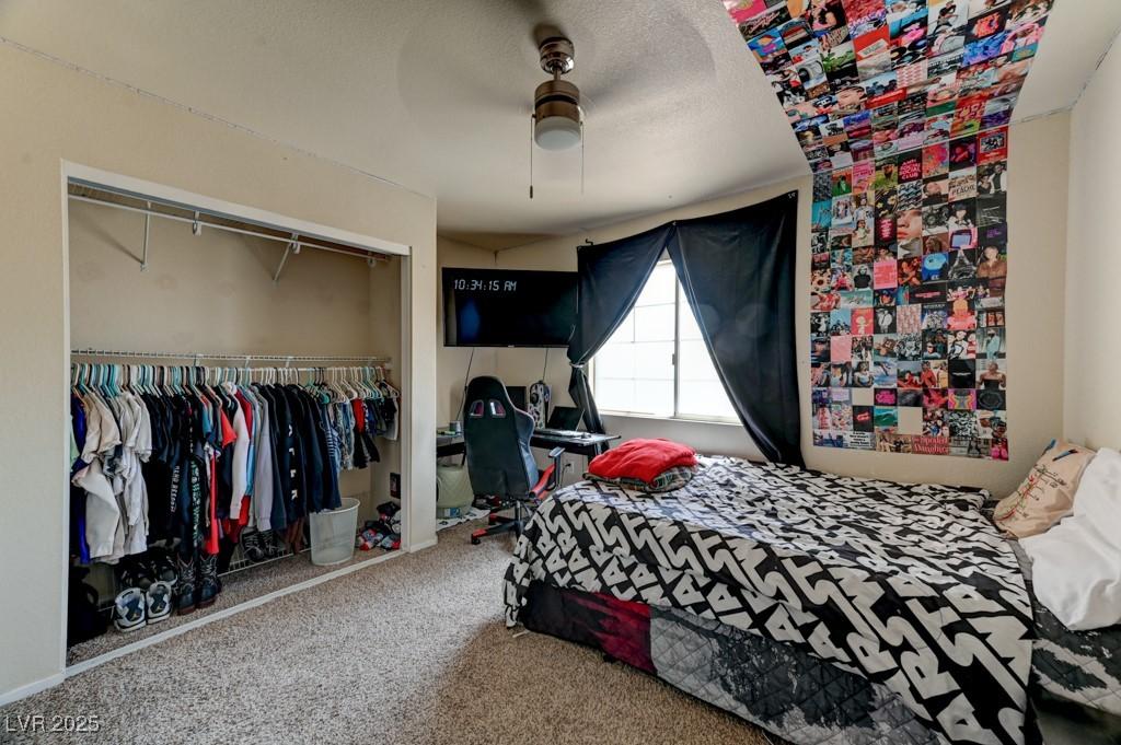 Photo #31
