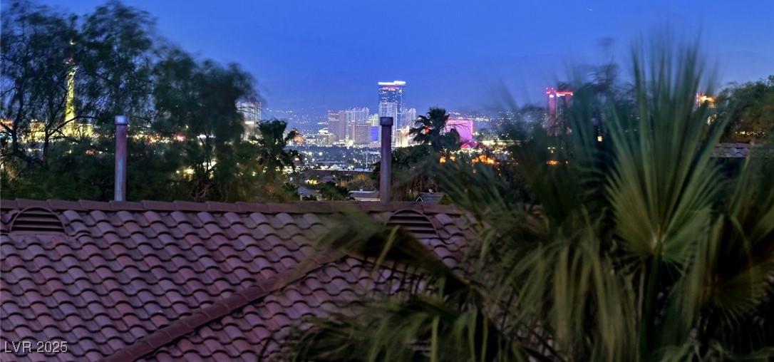 Photo #41