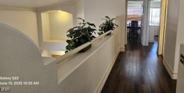 Photo #12