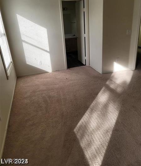 Photo #61