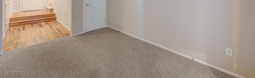 Photo #43