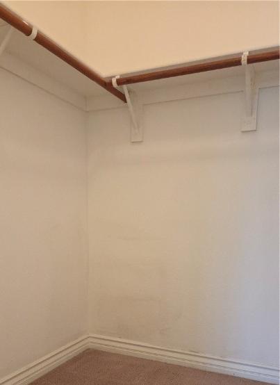Photo #24