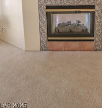 Photo #18