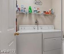 Photo #15