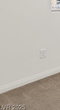Photo #8