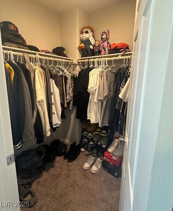 Photo #36