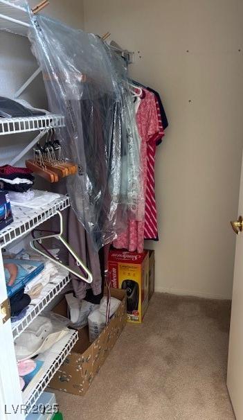 Photo #11