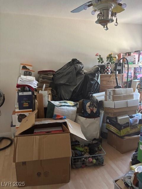 Photo #23