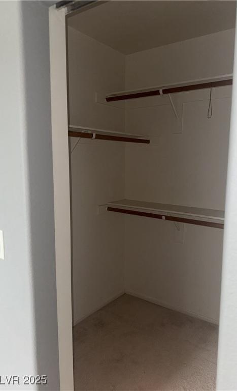 Photo #22