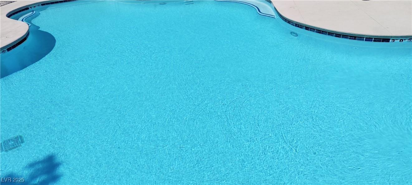 Photo #7