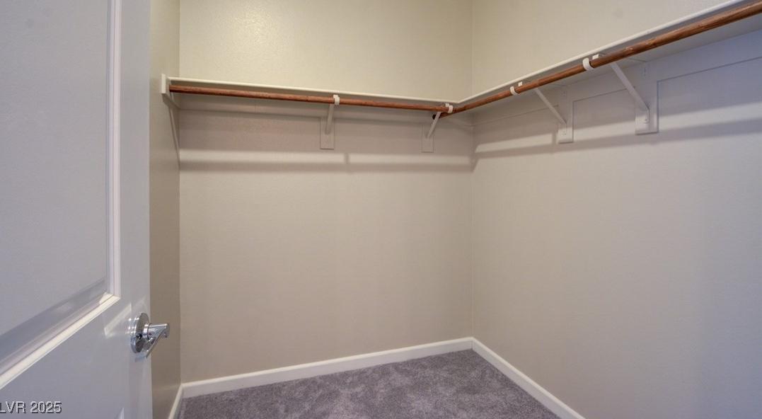 Photo #43