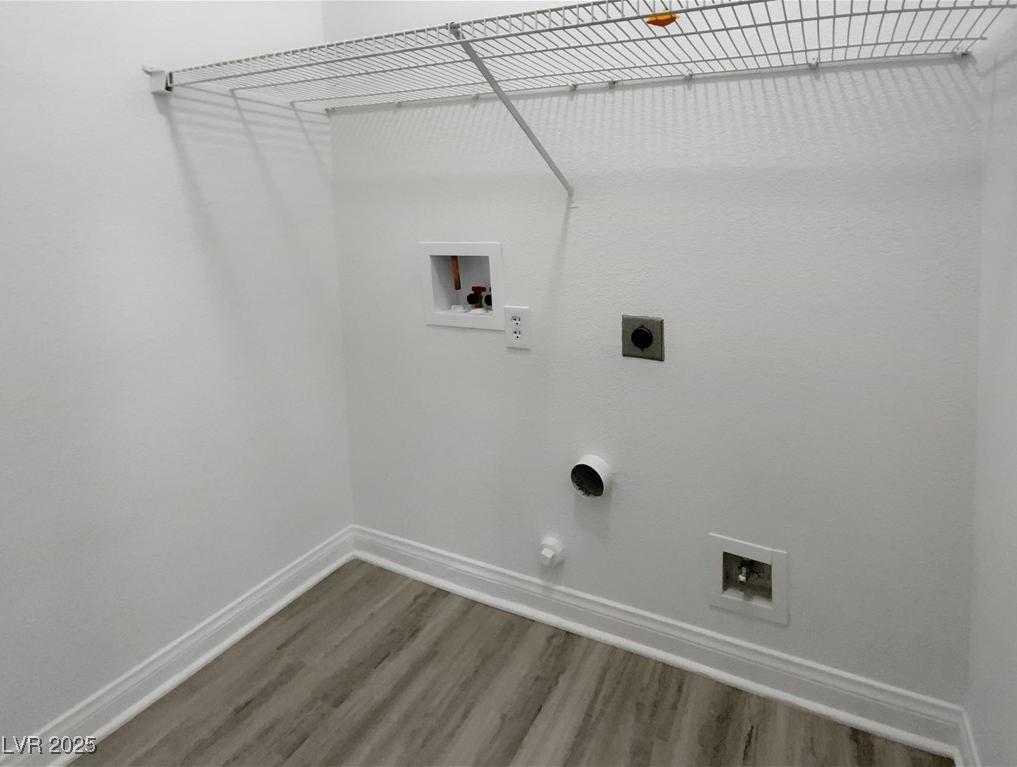 Photo #10