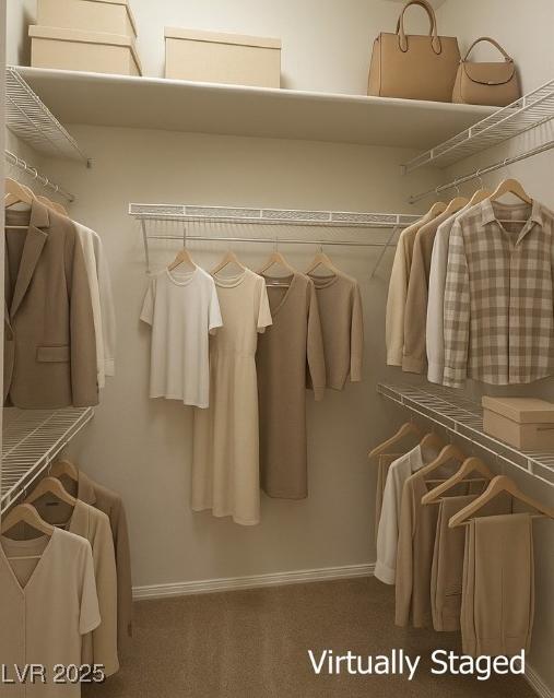 Photo #11