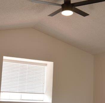 Photo #21