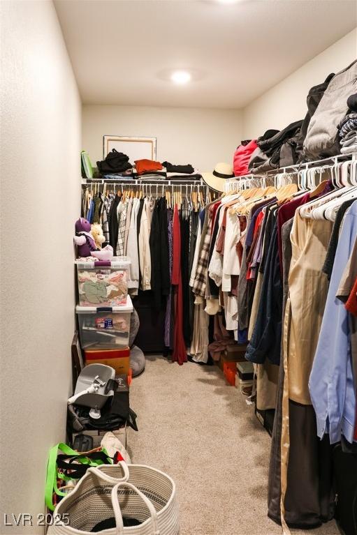 Photo #24