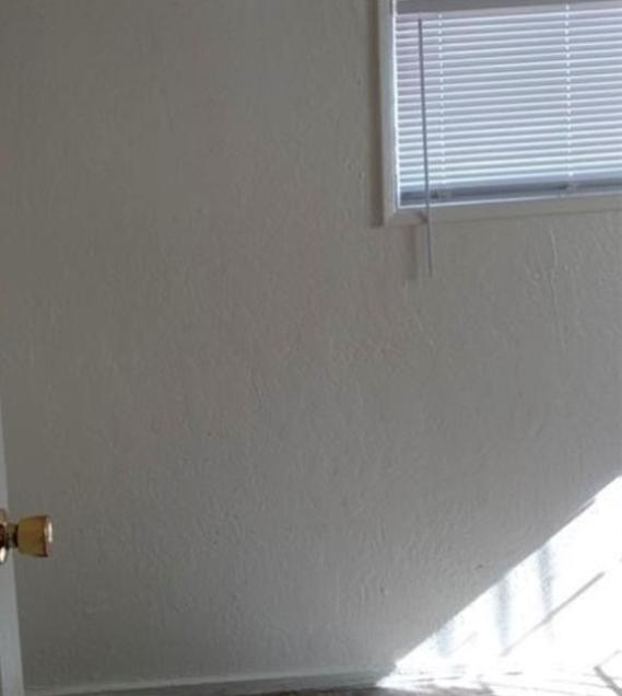 Photo #19