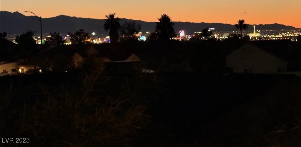 Photo #43