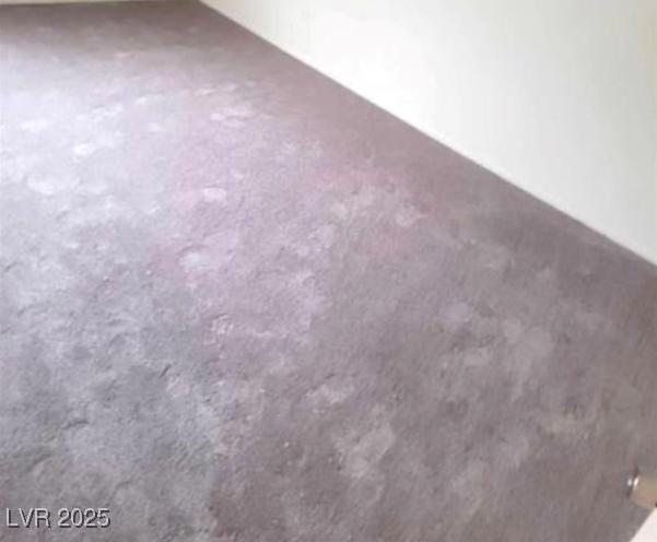 Photo #31