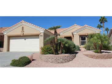 Single-story house with a two-car garage and landscaped front yard at 10732 Cedar Creek Ave, Las Vegas, NV 89134