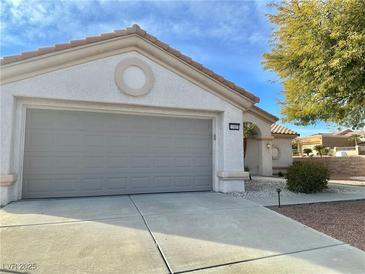 One story house with gray garage door and desert landscaping at 11037 Hawk Valley Ave, Las Vegas, NV 89134