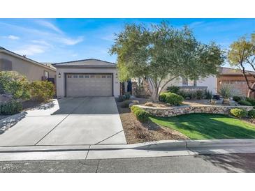 Beautiful single-story home with a landscaped front yard at 2423 Blair Castle St, Henderson, NV 89044