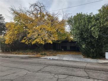 Street view of home with mature landscaping and fall foliage at 2612 Cabot St, Las Vegas, NV 89102