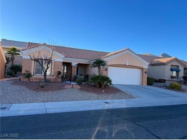 One-story house with two-car garage, landscaping, and desert plants at 1925 Hot Oak Ridge St, Las Vegas, NV 89134