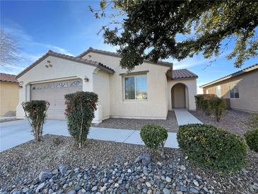 Single-story house with attached garage and well-maintained landscaping at 4290 S Gressa St, Pahrump, NV 89061